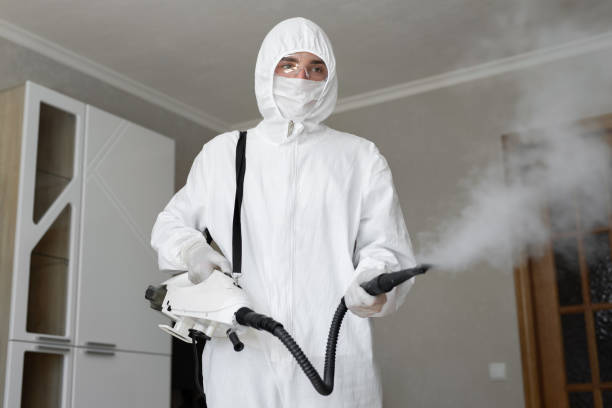 Why You Should Choose Our Mold Remediation Services in Harbor Isle, NY